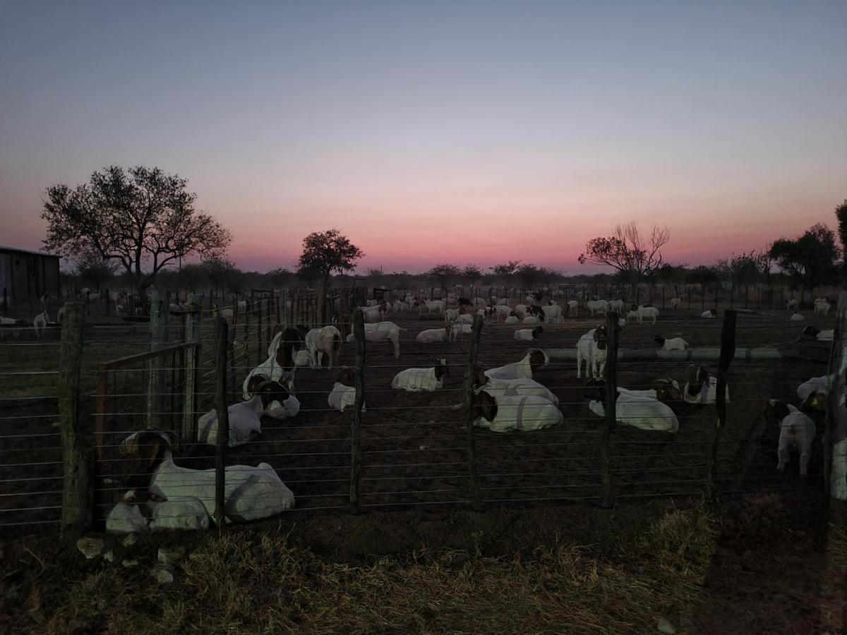 Tamboti Farm Accommodation Tsumeb Exterior photo