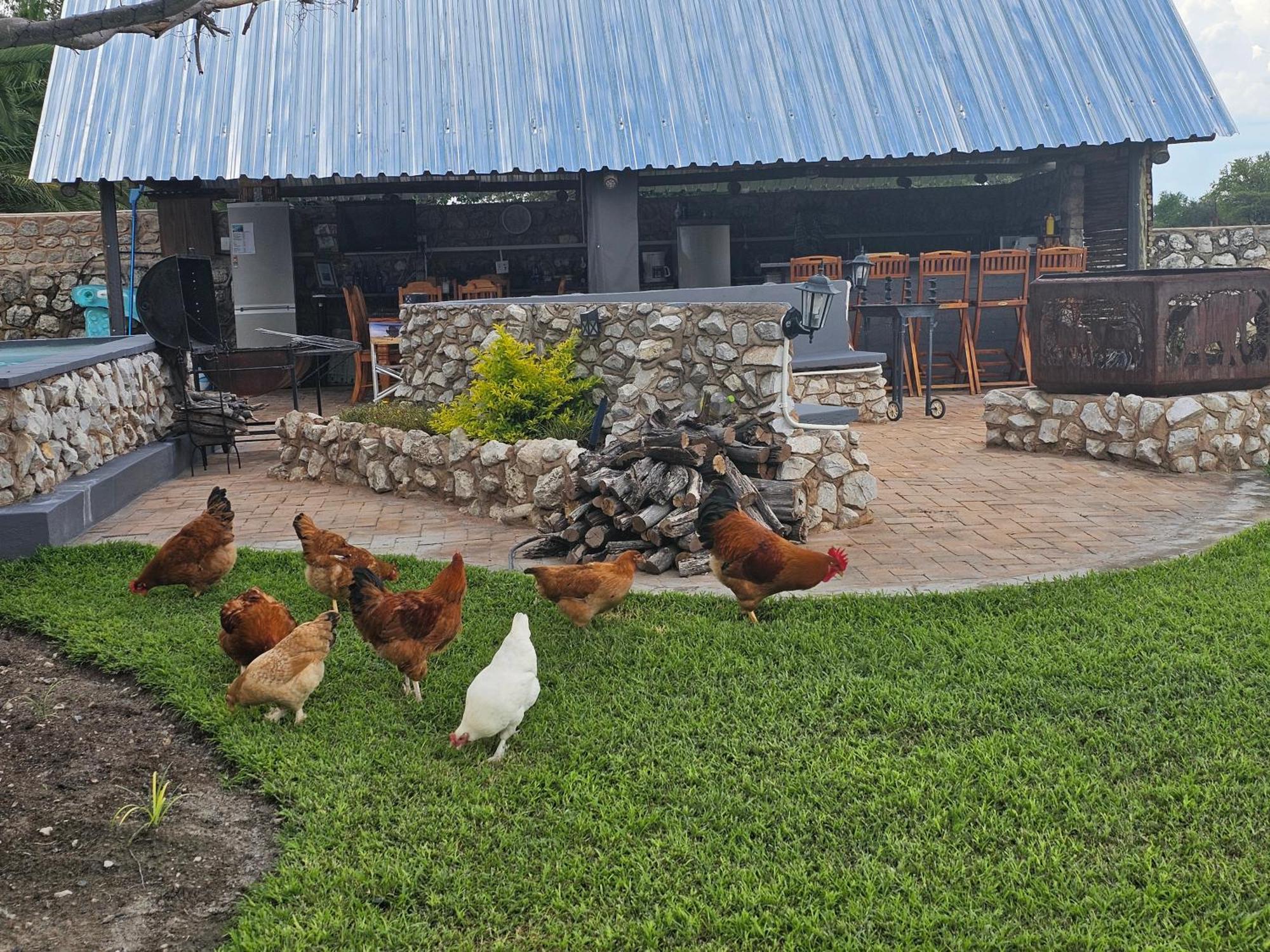 Tamboti Farm Accommodation Tsumeb Exterior photo